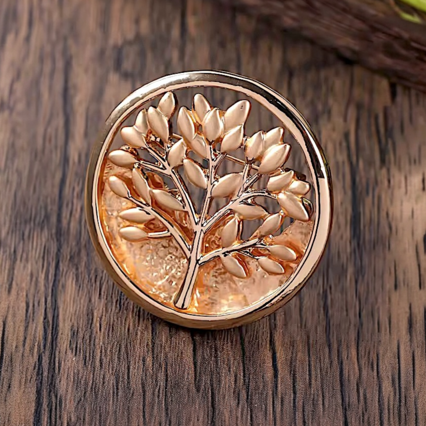 Broche Amina