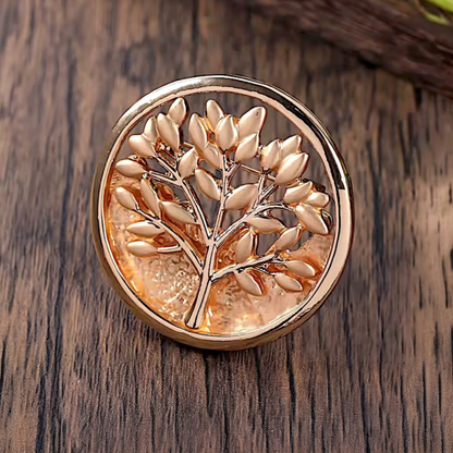 Broche Amina