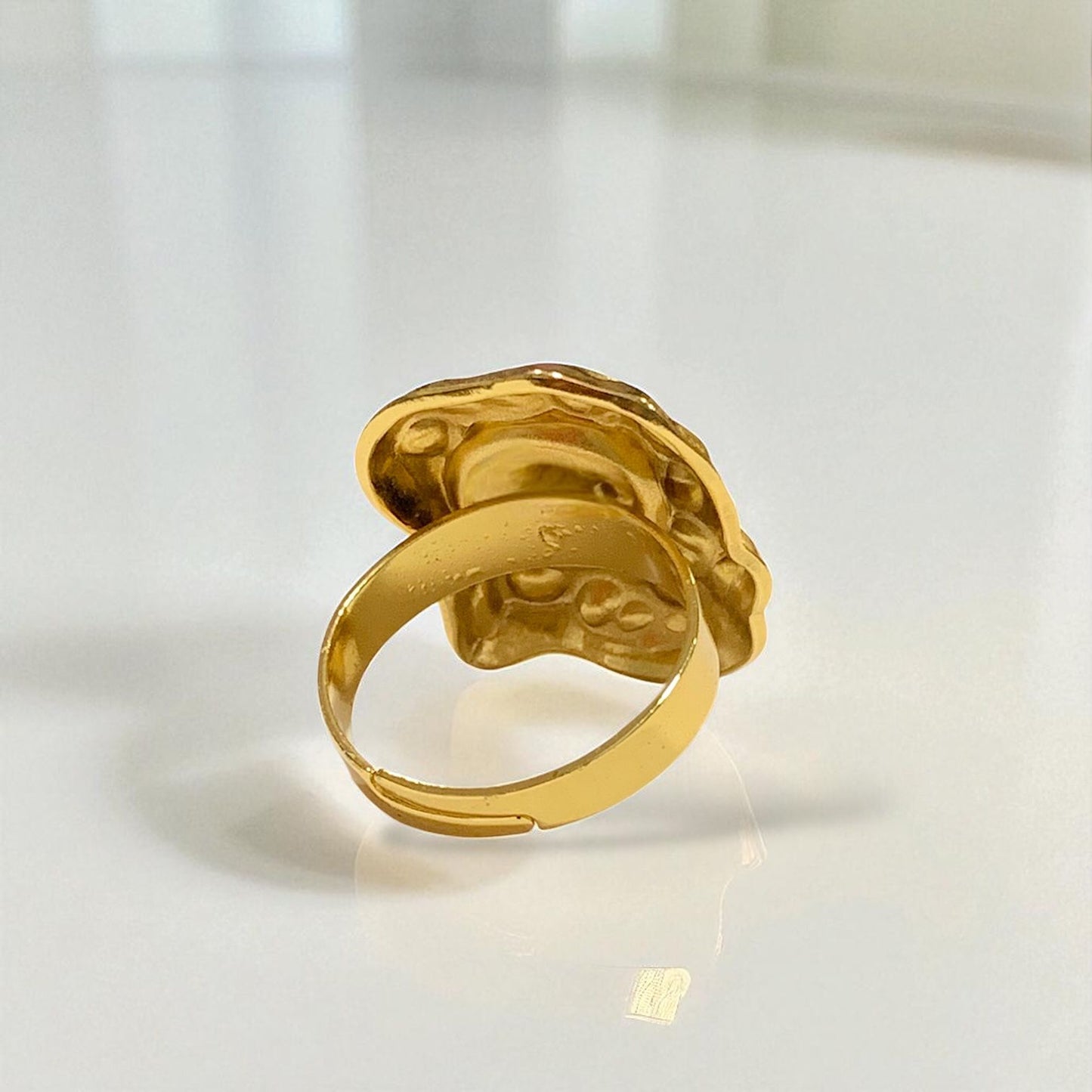 Anillo Acero Alma