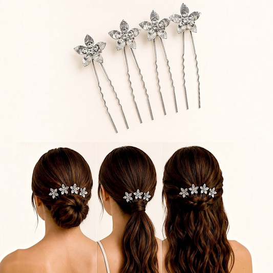 Set 4 Hebillas