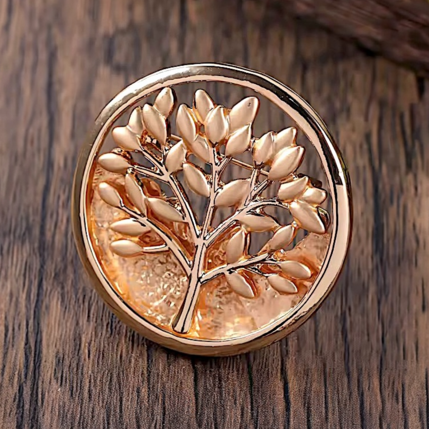 Broche Amina