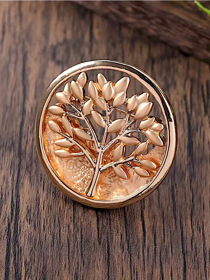 Broche Amina